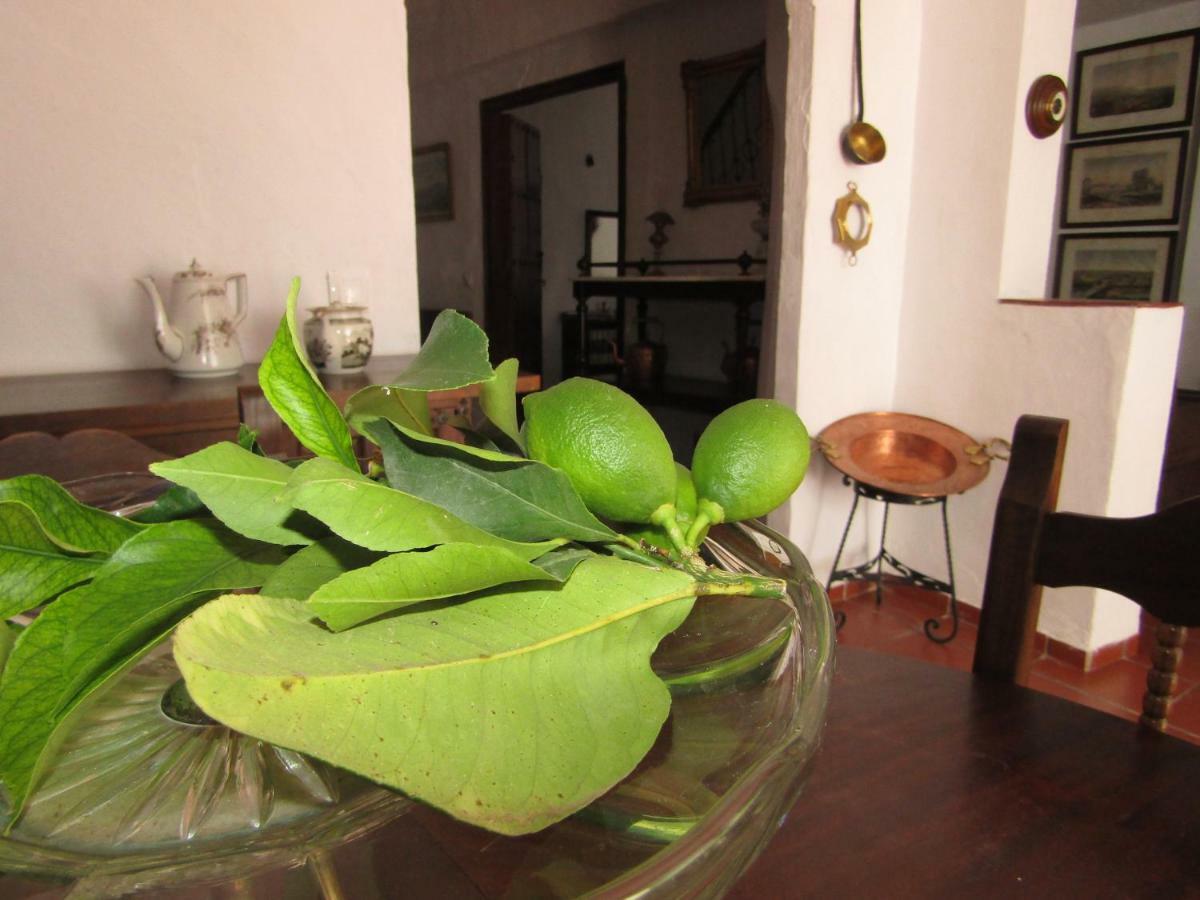 格拉茨莱马La Casa 5别墅 外观 照片